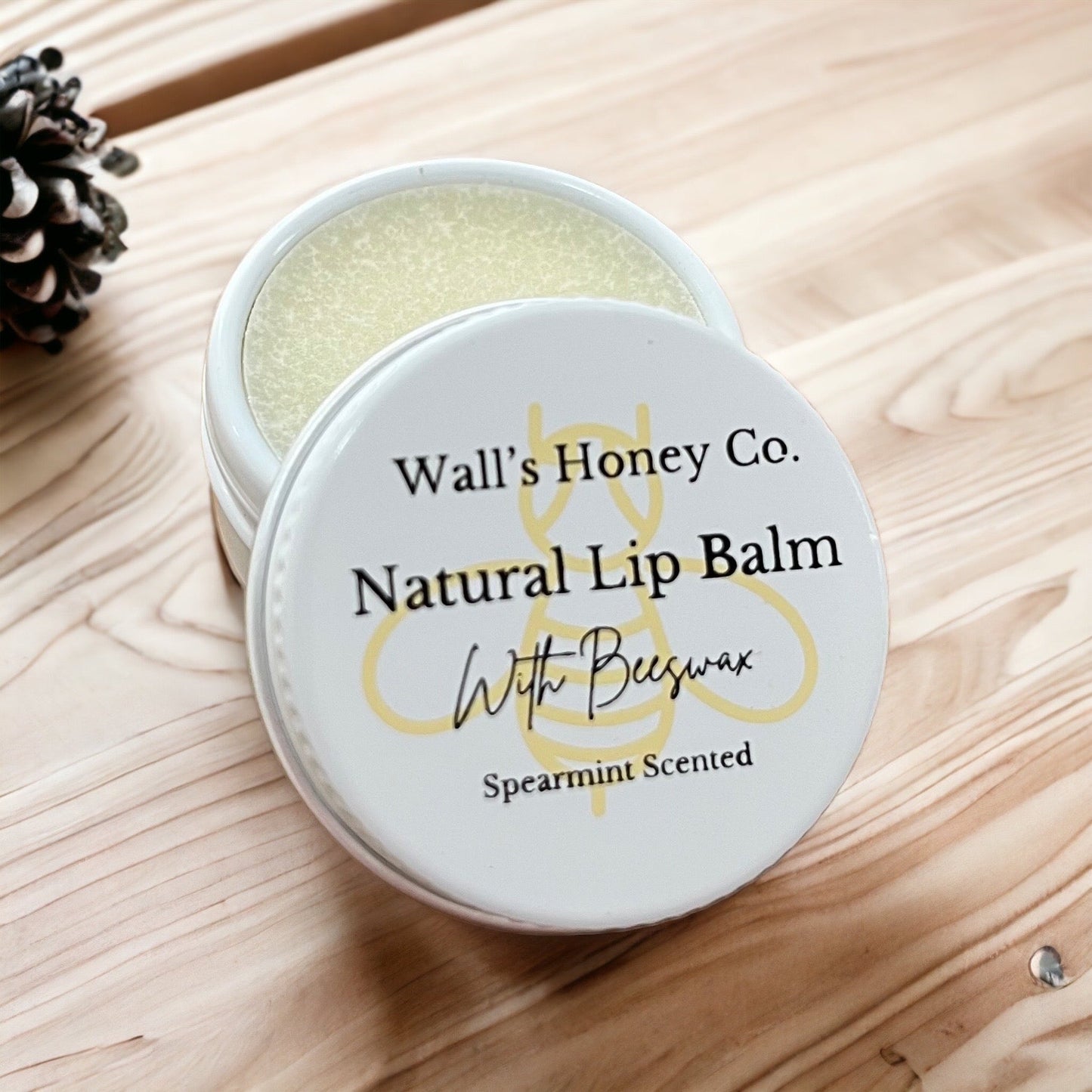 Lip Balm 4 Pack Sampler Gift Box